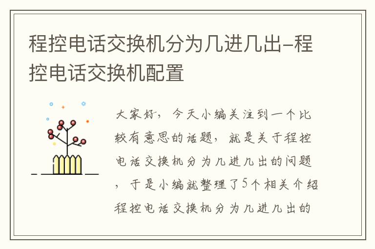 程控电话交换机分为几进几出-程控电话交换机配置