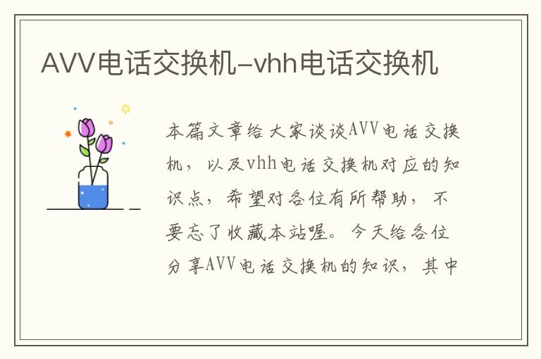 AVV电话交换机-vhh电话交换机