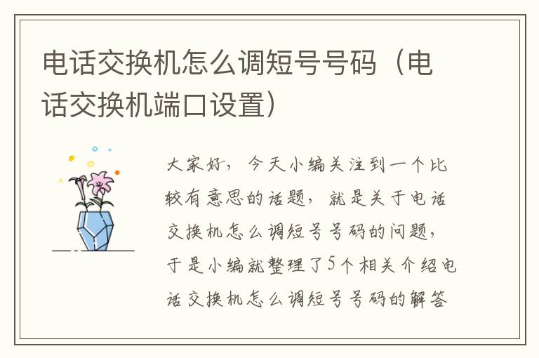 电话交换机怎么调短号号码（电话交换机端口设置）