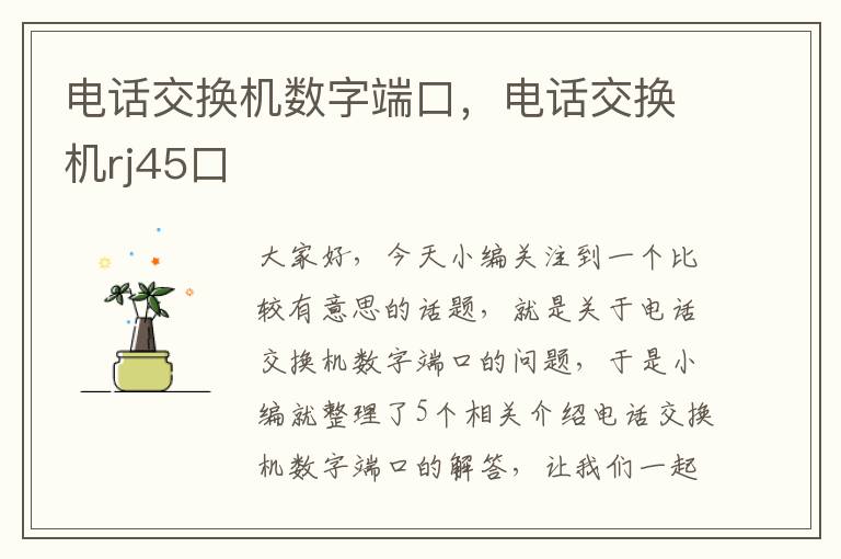 电话交换机数字端口，电话交换机rj45口