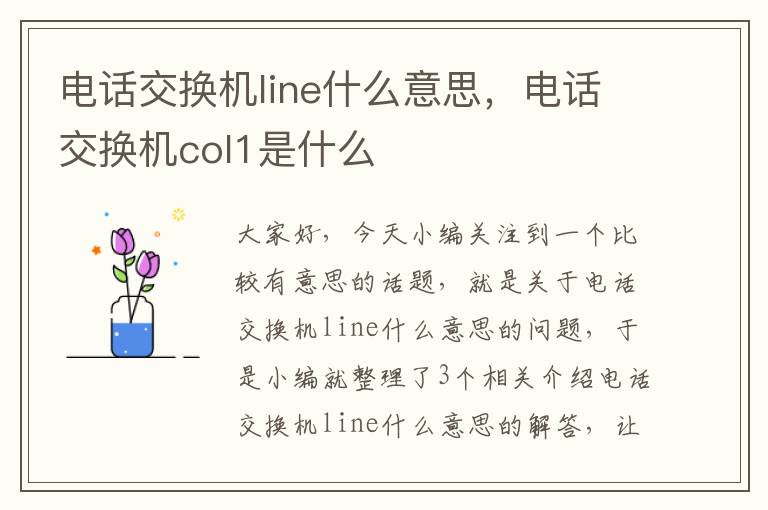 电话交换机line什么意思，电话交换机col1是什么