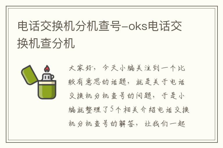 电话交换机分机查号-oks电话交换机查分机