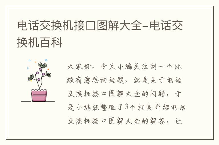 电话交换机接口图解大全-电话交换机百科