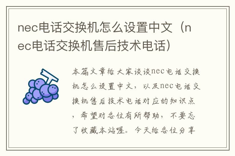 nec电话交换机怎么设置中文（nec电话交换机售后技术电话）