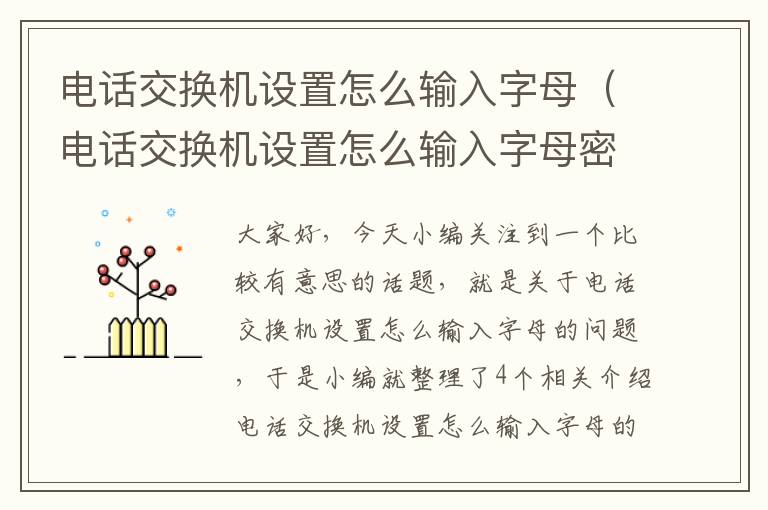 电话交换机设置怎么输入字母（电话交换机设置怎么输入字母密码）