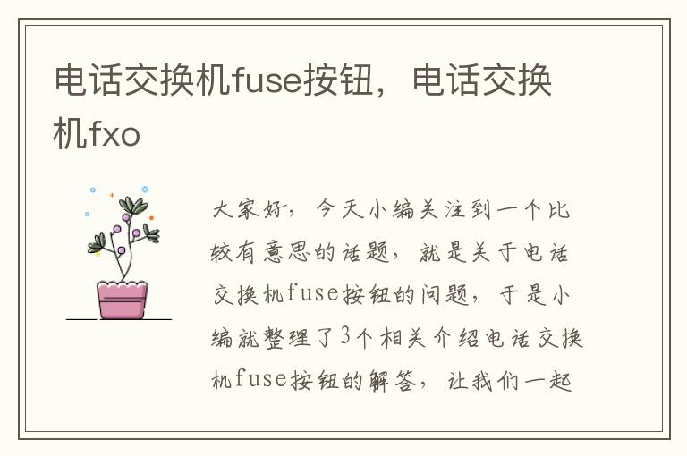 电话交换机fuse按钮，电话交换机fxo