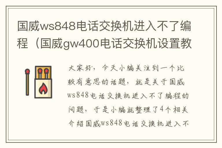 国威ws848电话交换机进入不了编程（国威gw400电话交换机设置教程视频）