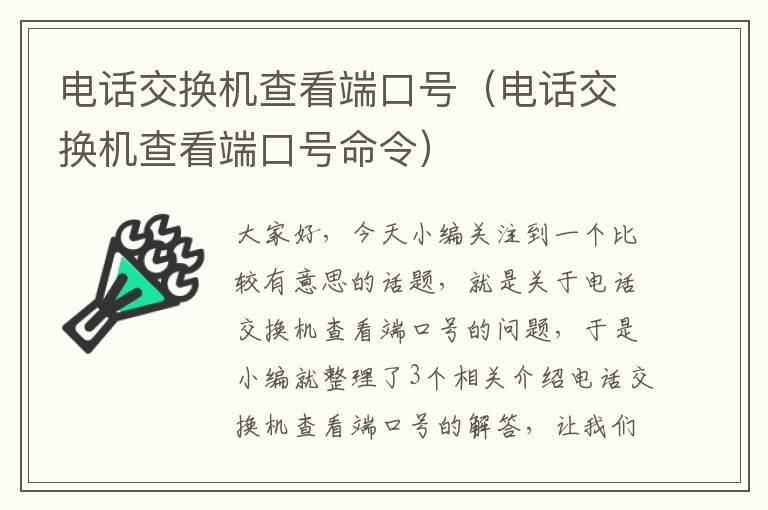 电话交换机查看端口号（电话交换机查看端口号命令）