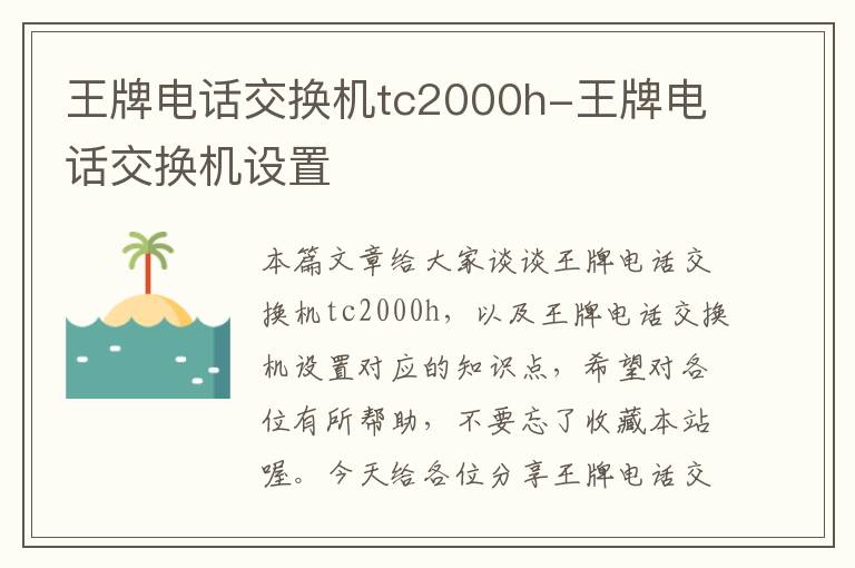 王牌电话交换机tc2000h-王牌电话交换机设置