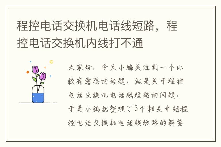 程控电话交换机电话线短路，程控电话交换机内线打不通