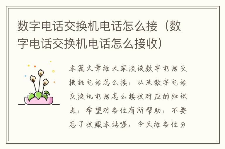 数字电话交换机电话怎么接（数字电话交换机电话怎么接收）