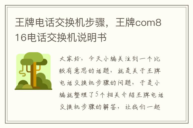 王牌电话交换机步骤，王牌com816电话交换机说明书