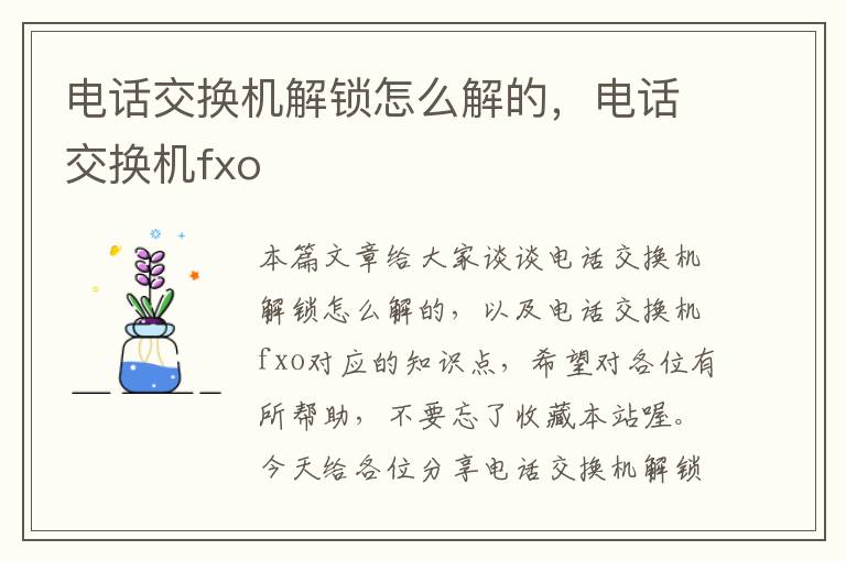 电话交换机解锁怎么解的，电话交换机fxo