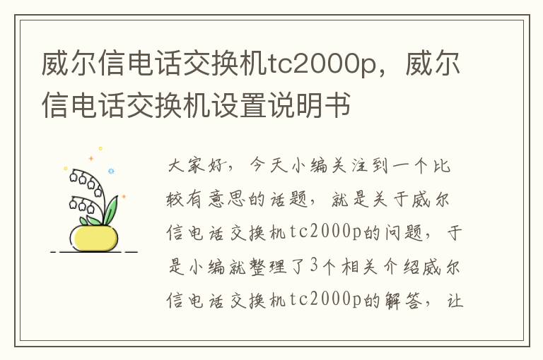 威尔信电话交换机tc2000p，威尔信电话交换机设置说明书