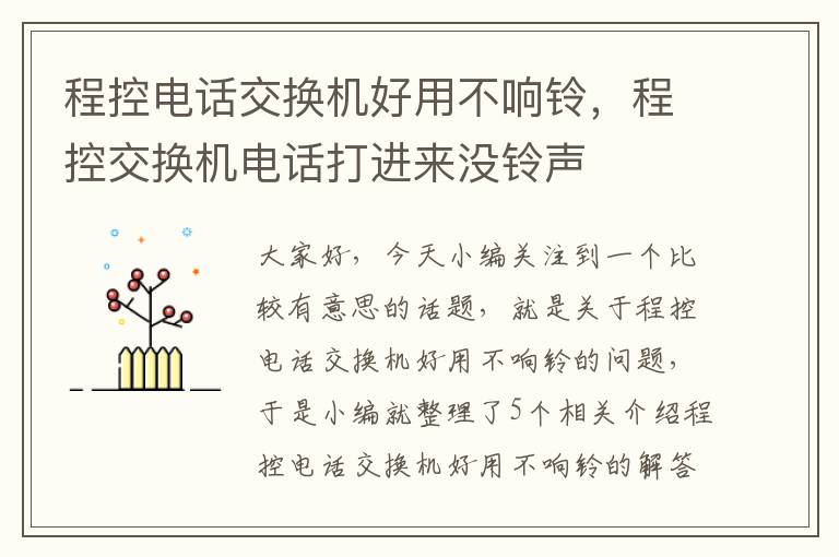 程控电话交换机好用不响铃，程控交换机电话打进来没铃声