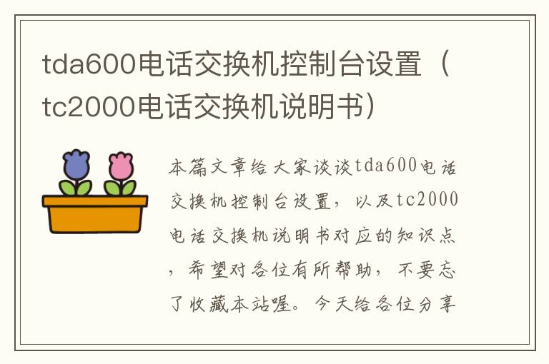 tda600电话交换机控制台设置（tc2000电话交换机说明书）