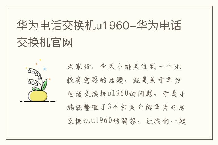 华为电话交换机u1960-华为电话交换机官网