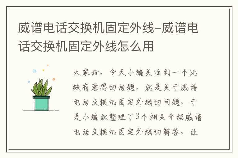 威谱电话交换机固定外线-威谱电话交换机固定外线怎么用