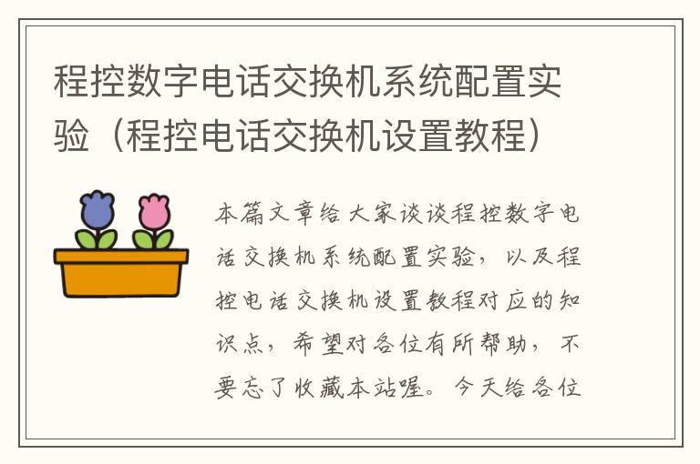 程控数字电话交换机系统配置实验（程控电话交换机设置教程）