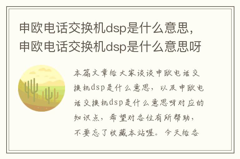 申欧电话交换机dsp是什么意思，申欧电话交换机dsp是什么意思呀