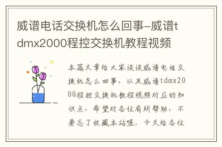 威谱电话交换机怎么回事-威谱tdmx2000程控交换机教程视频