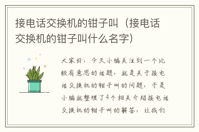 接电话交换机的钳子叫（接电话交换机的钳子叫什么名字）