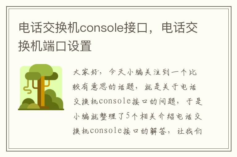 电话交换机console接口，电话交换机端口设置