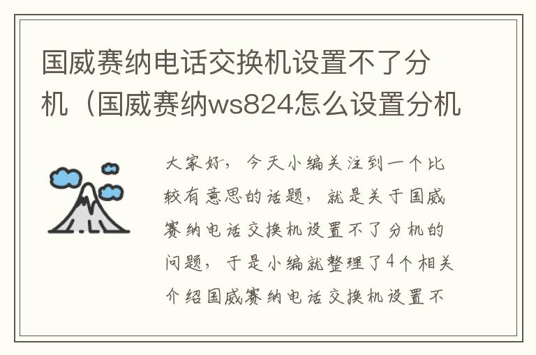 国威赛纳电话交换机设置不了分机（国威赛纳ws824怎么设置分机号？）