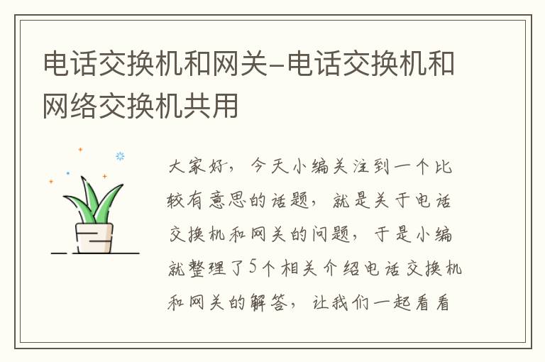 电话交换机和网关-电话交换机和网络交换机共用