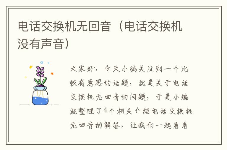 电话交换机无回音（电话交换机没有声音）