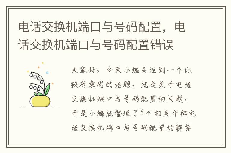 电话交换机端口与号码配置，电话交换机端口与号码配置错误