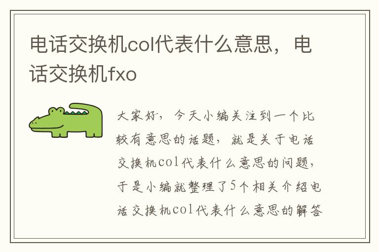 电话交换机col代表什么意思，电话交换机fxo