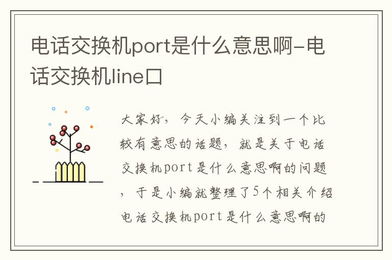 电话交换机port是什么意思啊-电话交换机line口