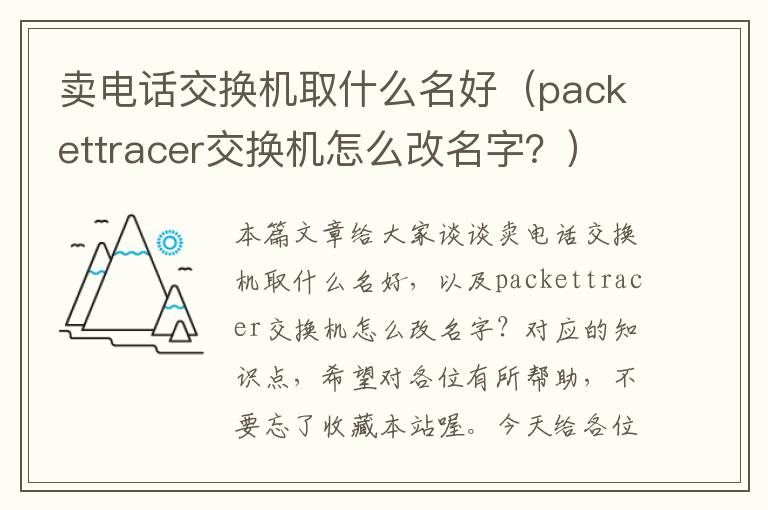 卖电话交换机取什么名好（packettracer交换机怎么改名字？）