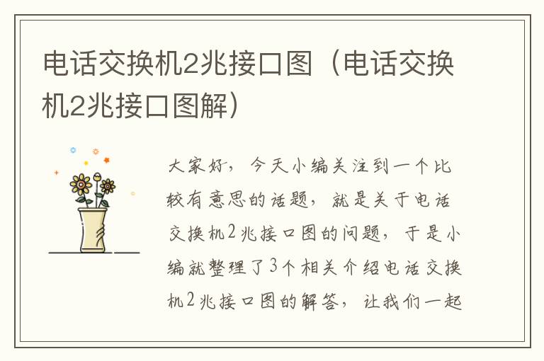 电话交换机2兆接口图（电话交换机2兆接口图解）