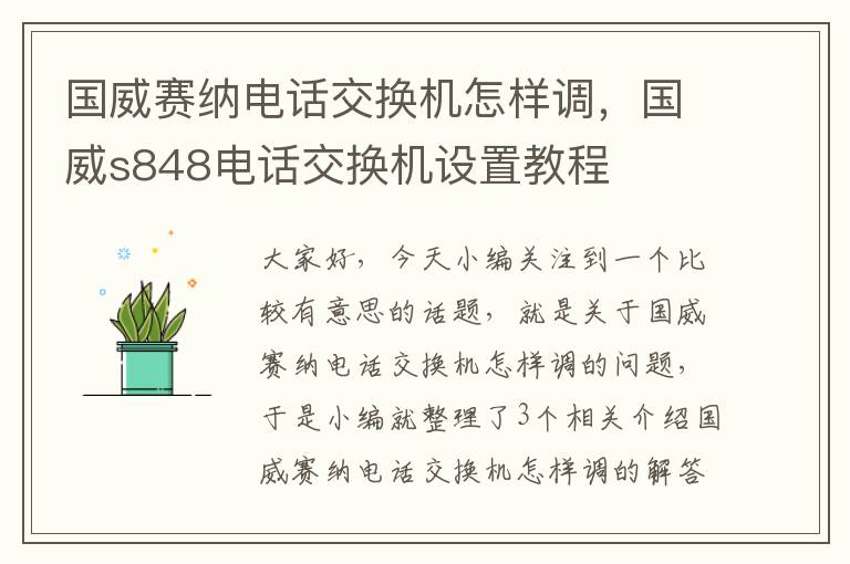 国威赛纳电话交换机怎样调，国威s848电话交换机设置教程