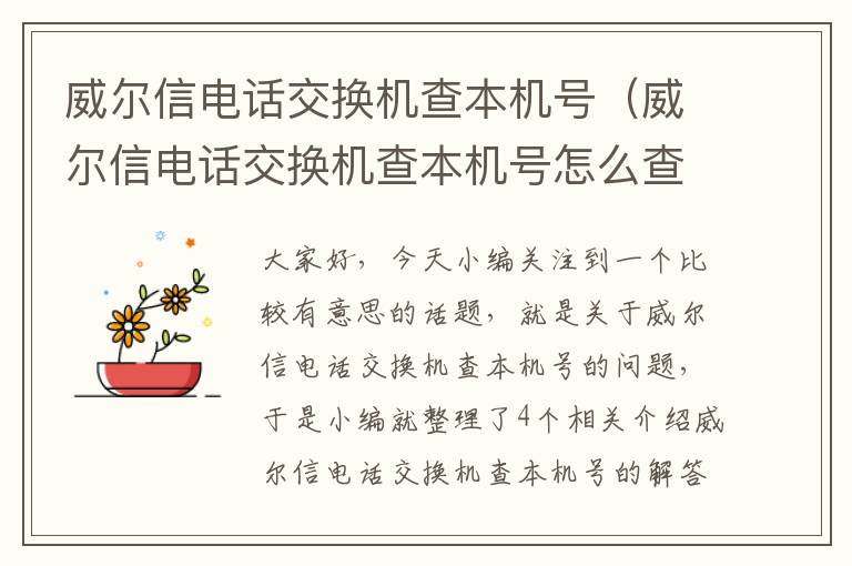 威尔信电话交换机查本机号（威尔信电话交换机查本机号怎么查）