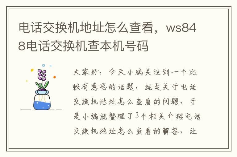 电话交换机地址怎么查看，ws848电话交换机查本机号码