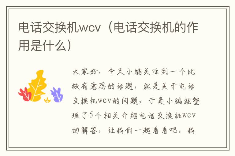 电话交换机wcv（电话交换机的作用是什么）