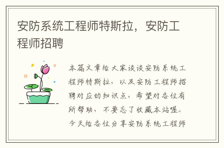 安防系统工程师特斯拉，安防工程师招聘