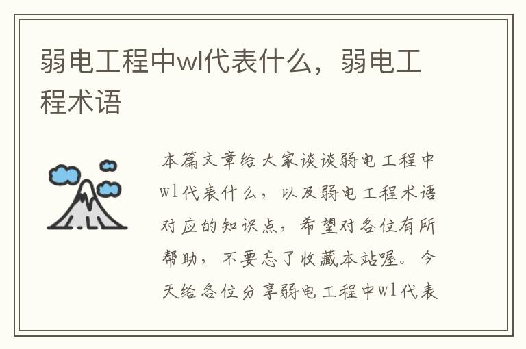 弱电工程中wl代表什么，弱电工程术语