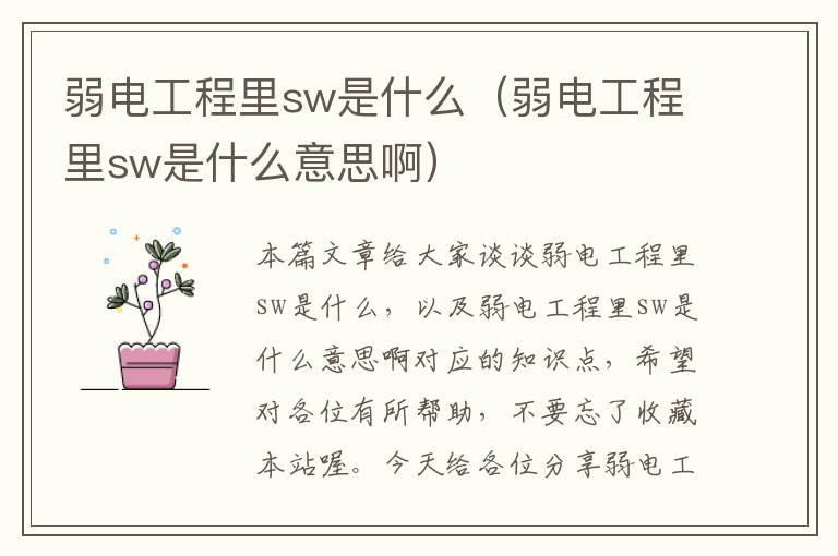 弱电工程里sw是什么（弱电工程里sw是什么意思啊）