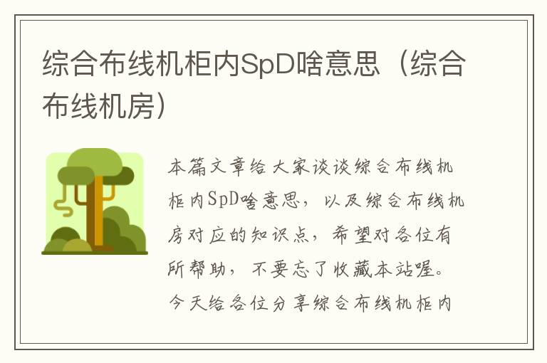 综合布线机柜内SpD啥意思（综合布线机房）