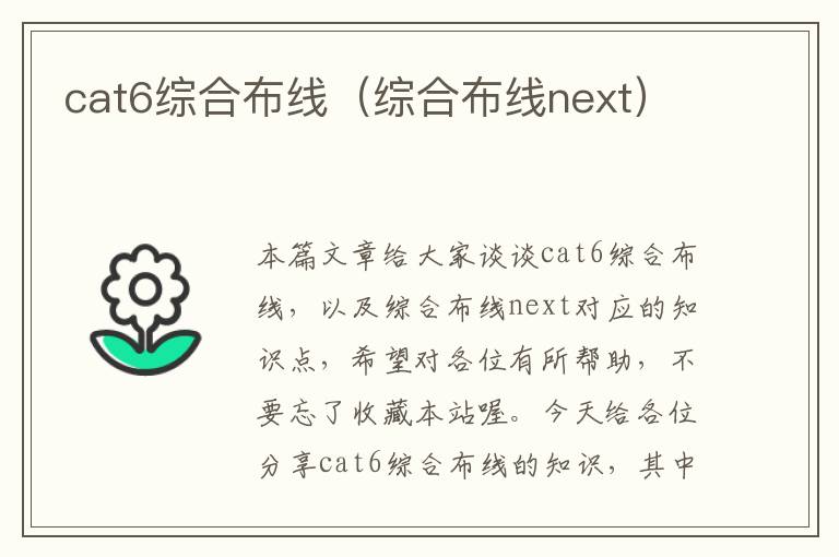 cat6综合布线（综合布线next）