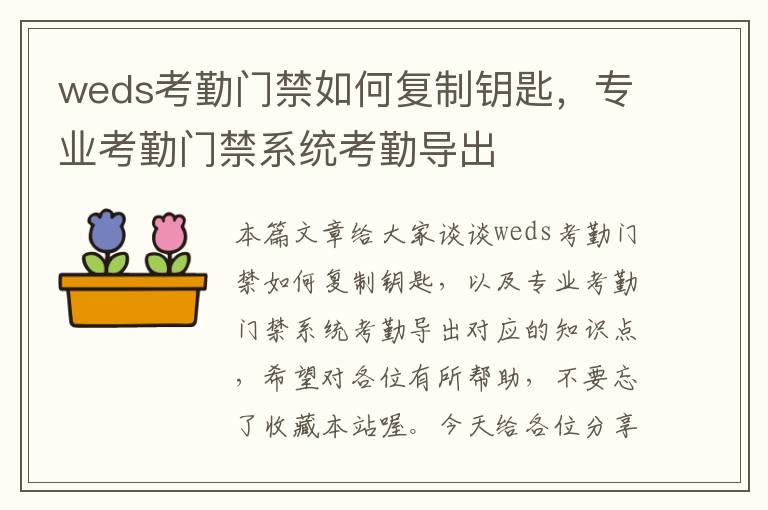 weds考勤门禁如何复制钥匙，专业考勤门禁系统考勤导出