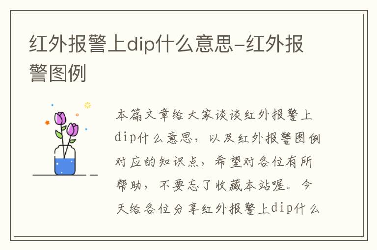 红外报警上dip什么意思-红外报警图例