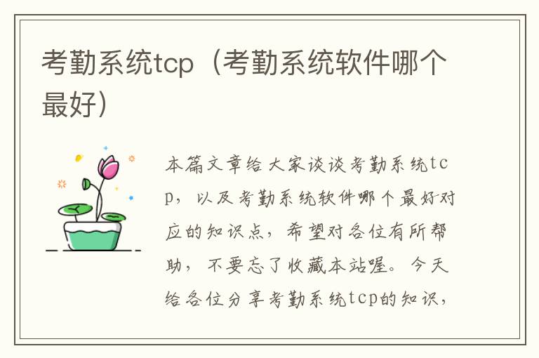 考勤系统tcp（考勤系统软件哪个最好）