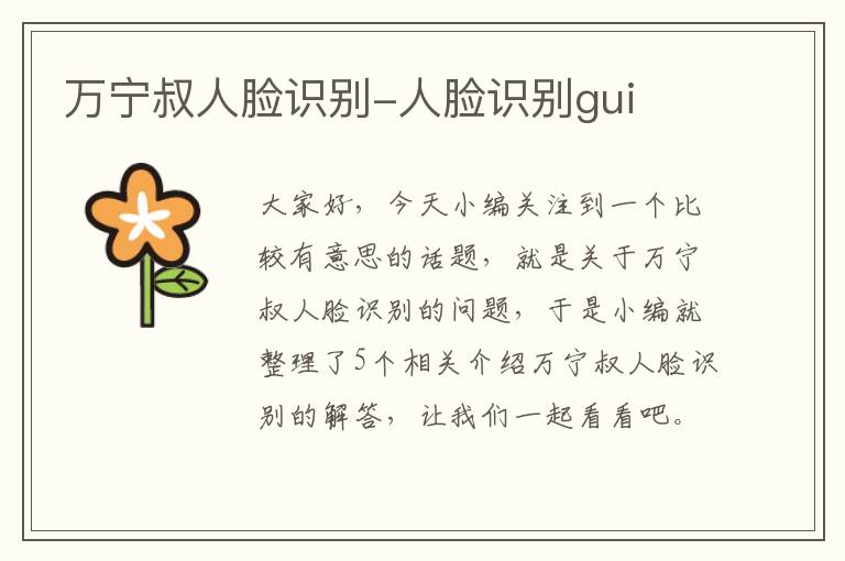 万宁叔人脸识别-人脸识别gui