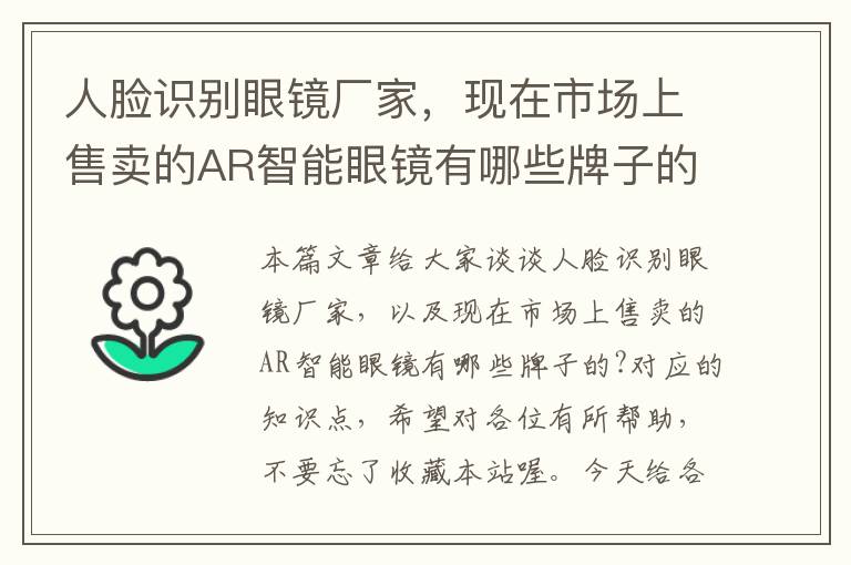 人脸识别眼镜厂家，现在市场上售卖的AR智能眼镜有哪些牌子的?