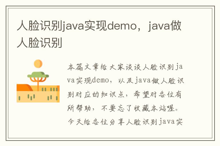 人脸识别java实现demo，java做人脸识别